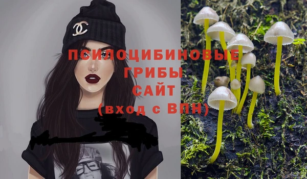 дживик Балахна