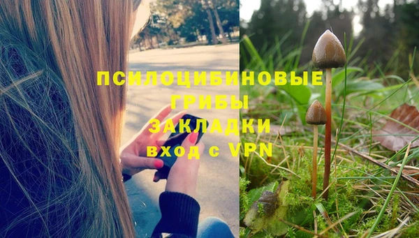 дживик Балахна