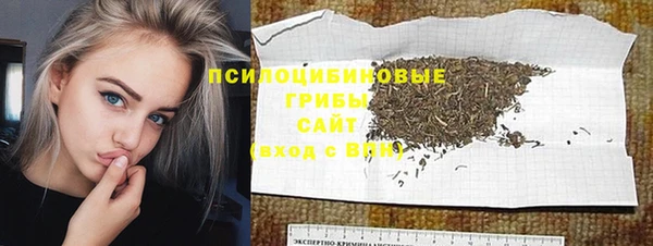 дживик Балахна