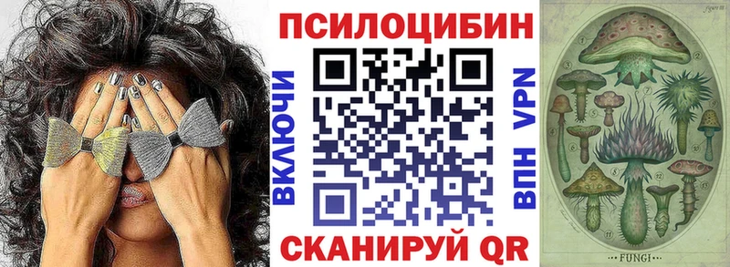 дарнет шоп  Верхняя Пышма  Псилоцибиновые грибы MAGIC MUSHROOMS 